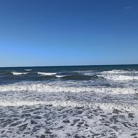 Piso En Playa De Gandia! Apartament Gandia